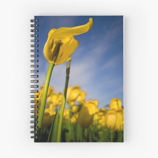 Item preview, Tulip In The Wind designed and sold by Bill Maynard.