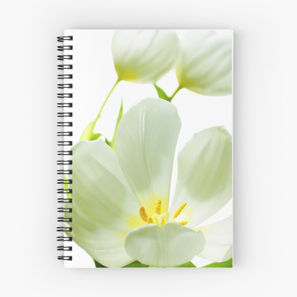 Item preview, white tulip - #3 designed and sold by Ronny Falkenstein.