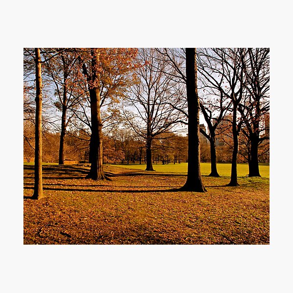 Item preview, Park Trees designed and sold by MPICS.
