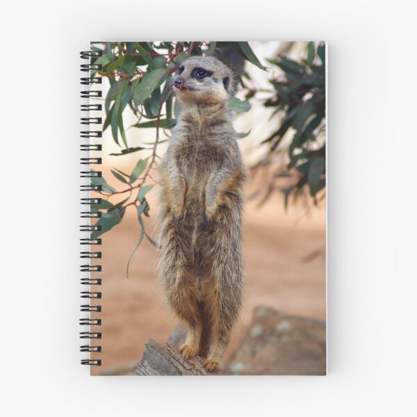 Item preview, Meercat  designed and sold by BERNADETTE Humphrey.
