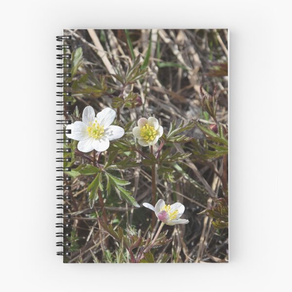 Item preview, Wood Anemone designed and sold by svehex.