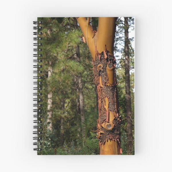 Item preview, Mature Madrone designed and sold by Patty Lewis.