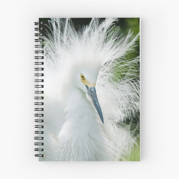 Item preview, "Bad Hair Day" or "Showgirl" - which title? designed and sold by ArtThatSmiles.