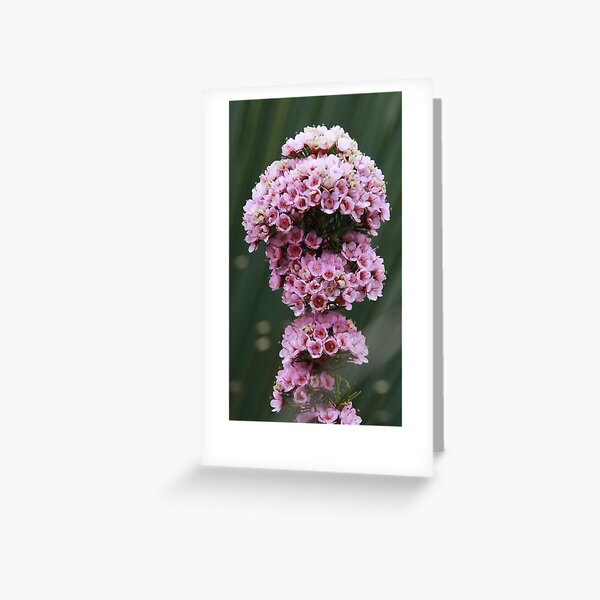 Pink Cloud City Greeting Card