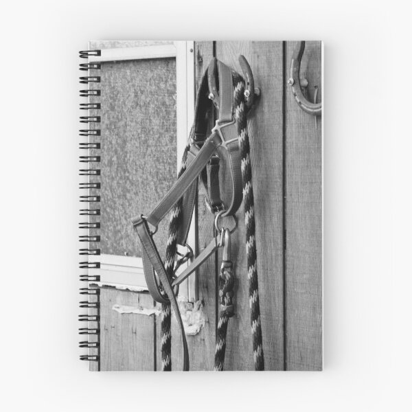 Item preview.