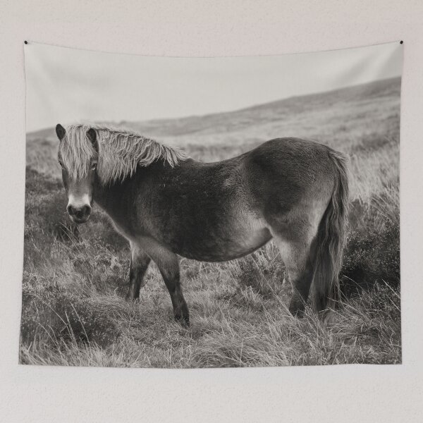 Item preview, Exmoor Pony Bronze designed and sold by rawshutterbug.