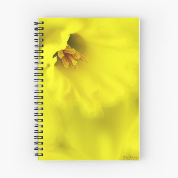 Item preview, Daffodil in the Sun designed and sold by Peter Howes.