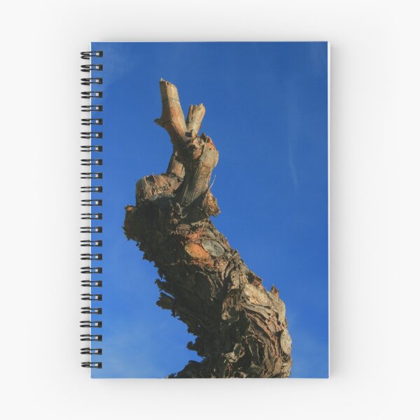 Item preview, Pruned Vine Capestang Herault France designed and sold by Paul Pasco.