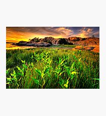 Summer Willow Lake Sunset 1 Photographic Print