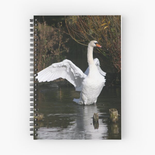 Item preview, Swan designed and sold by Doug McRae.
