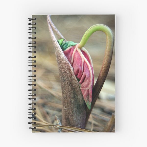 Item preview, The Unfurling designed and sold by RebeccaBlackman.