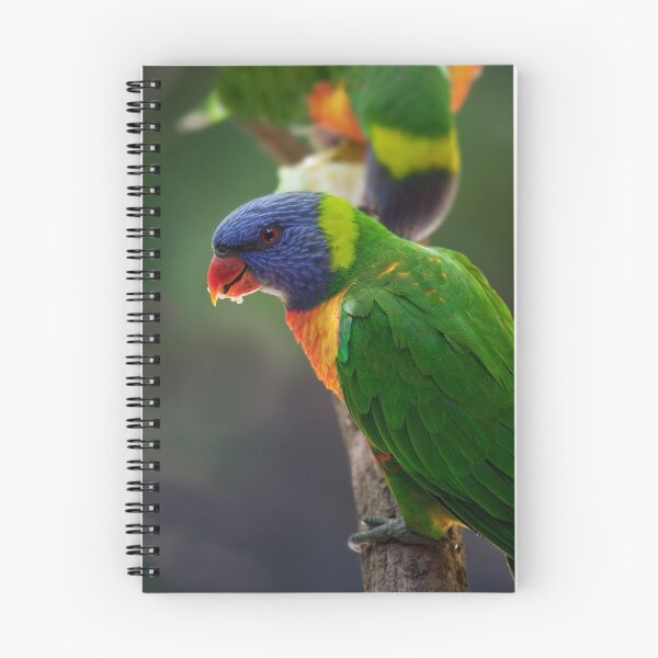 Item preview, Technicolour Lorikeet designed and sold by margotk.