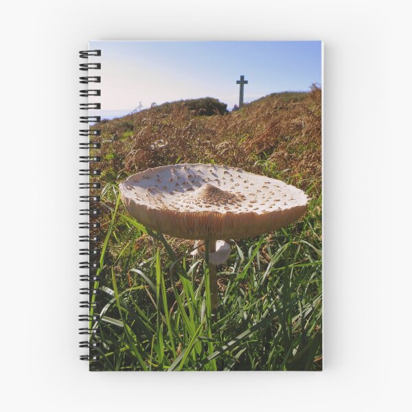 Item preview, Cornwall: Fungi at Dodman Point designed and sold by Rob Parsons (Just a Walker with a Camera).