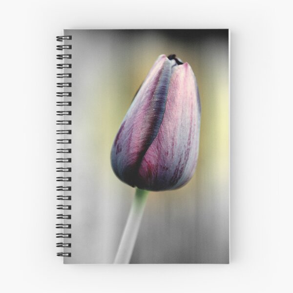 Item preview, Single Purple Tulip designed and sold by Stormview.