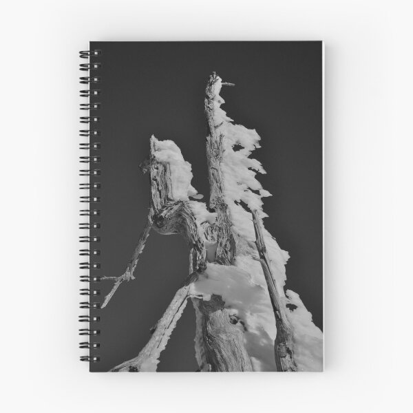 Item preview, Frozen Trees designed and sold by Thomas Tatchell.