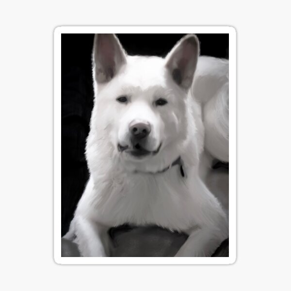 White Akita Sticker