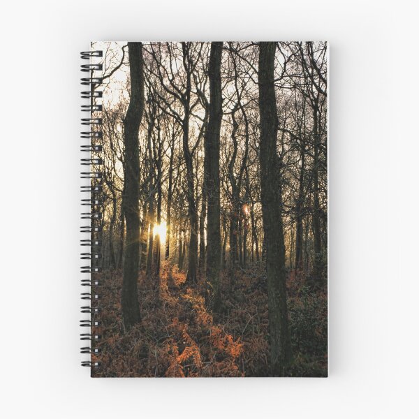Item preview, Sunset through the trees designed and sold by Guy Carpenter.