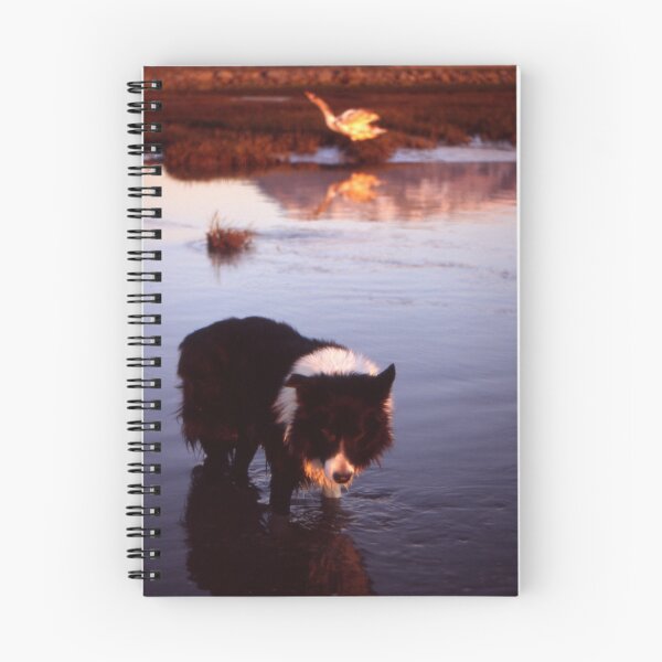Item preview, Indy and the Swan designed and sold by Michael Haslam.