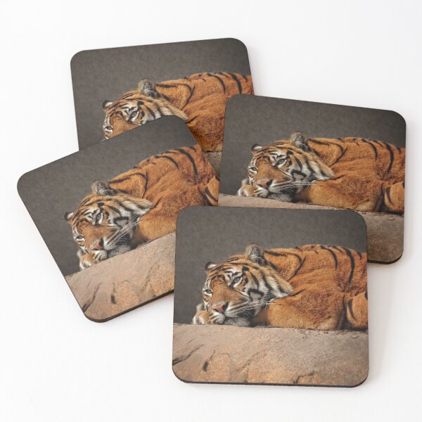 Item preview, Resting Sumatran Tiger designed and sold by rawshutterbug.