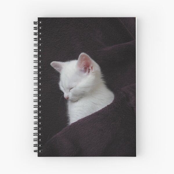 Item preview, oh so Cute designed and sold by Dawn B Davies-McIninch.