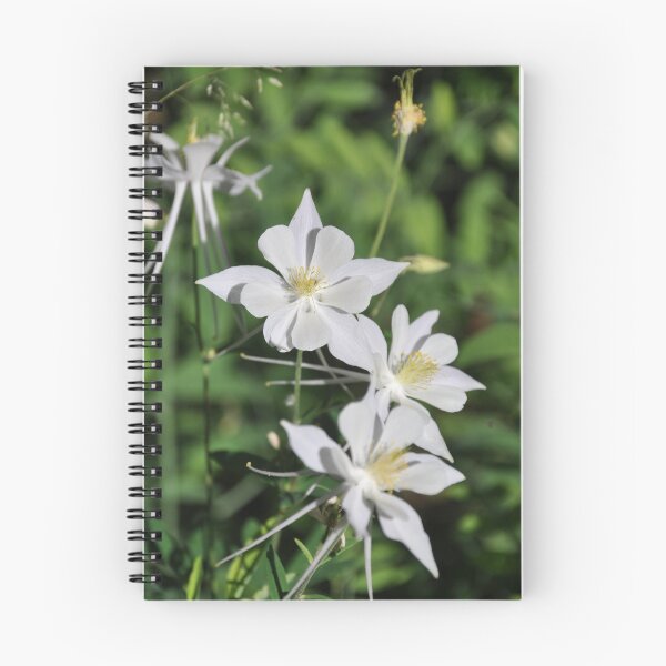 Item preview, Mountain Columbine designed and sold by Camaro1.
