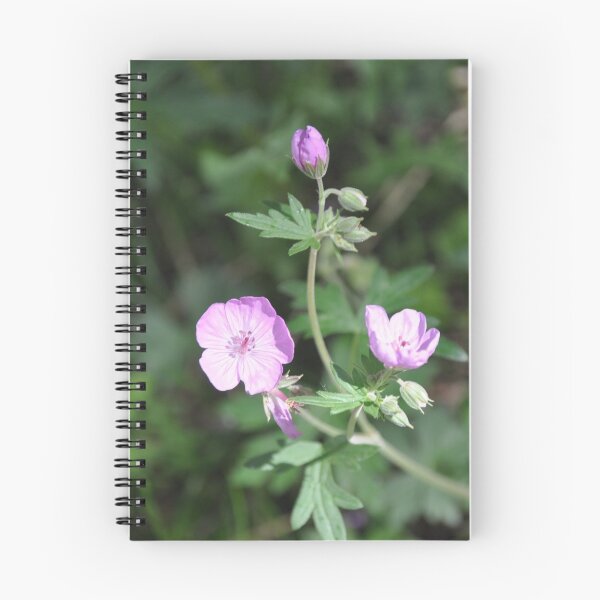 Item preview, Mountain Geranium designed and sold by Camaro1.