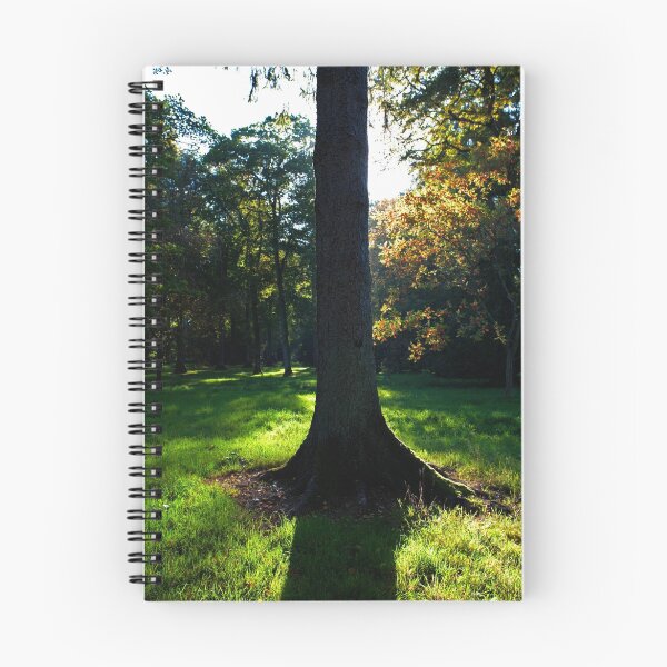 Item preview, Forest highlights designed and sold by Martyn Franklin.