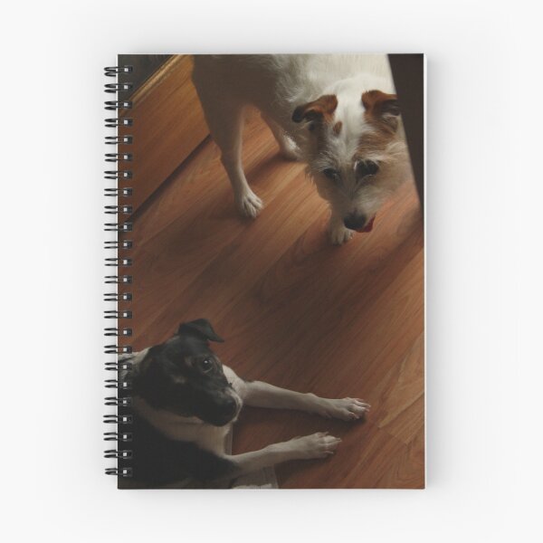 Item preview, say cheese. designed and sold by nerh.