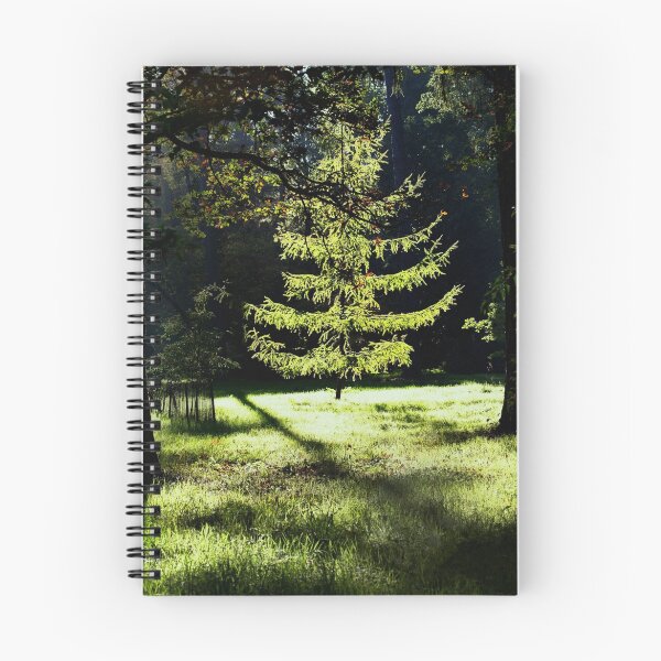 Item preview, Forest highlights designed and sold by Martyn Franklin.