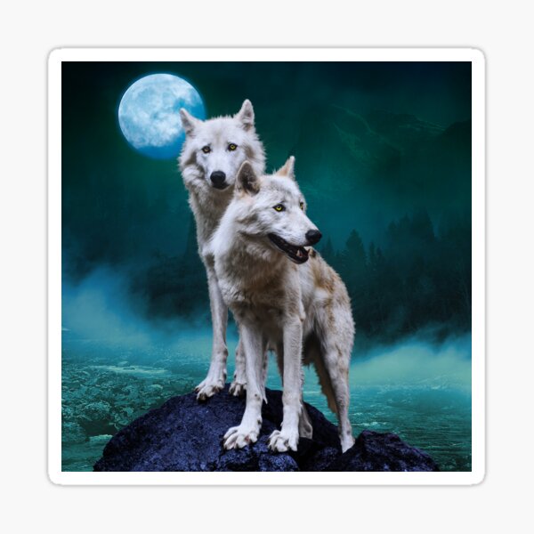 Wolves Soulmates Wolf Couple Love