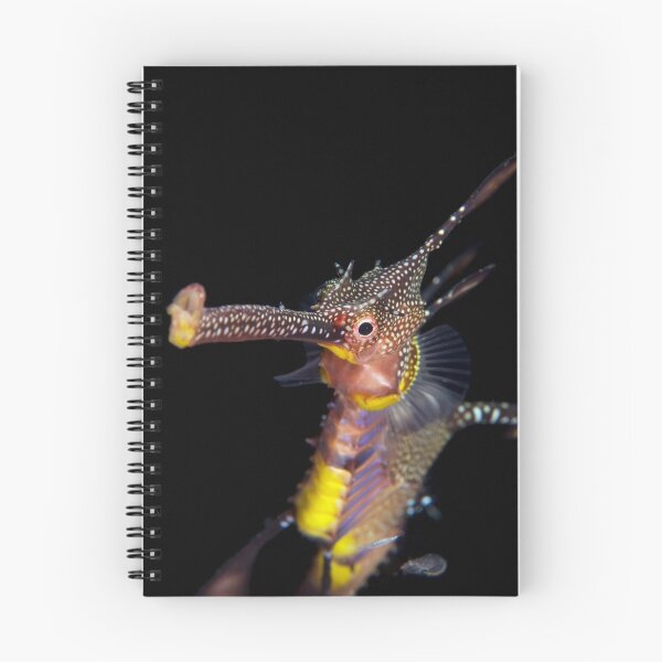 Item preview, Long Face. designed and sold by James Peake Nature Photography..