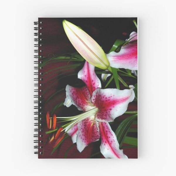Item preview, Pink and white Lily designed and sold by Terry Greenwood.