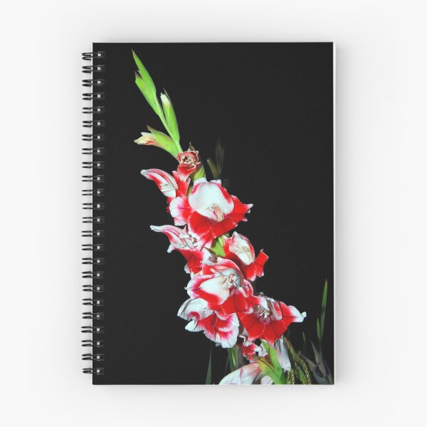 Item preview, Gladioli designed and sold by Terry Greenwood.