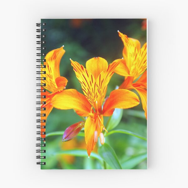 Item preview, Tangerine Dream designed and sold by Terry Greenwood.