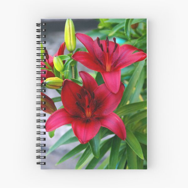 Item preview, Red Lily designed and sold by Terry Greenwood.