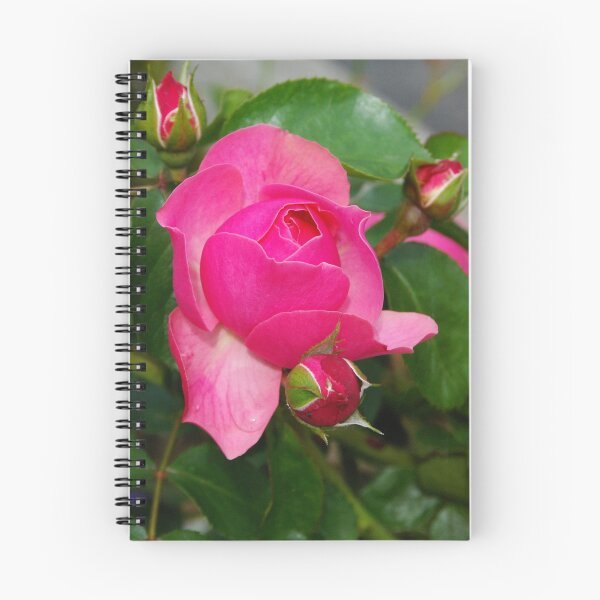 Item preview, Climbing Rose in Pink designed and sold by Terry Greenwood.