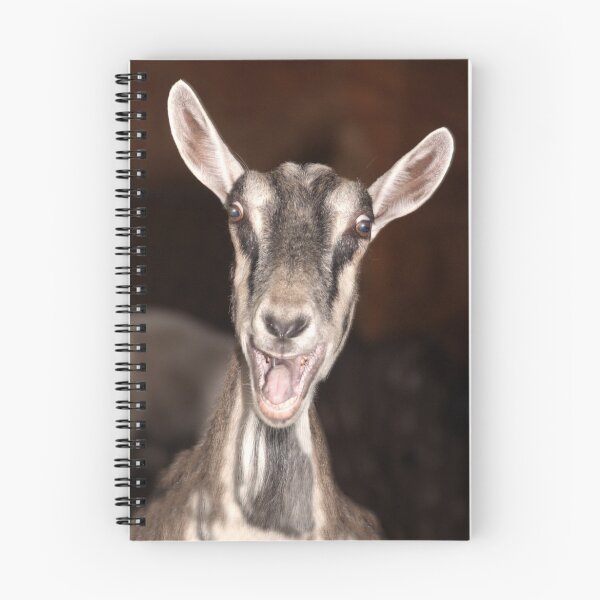 Item preview, "I'm Baaaad" - goat has goofy expression designed and sold by ArtThatSmiles.