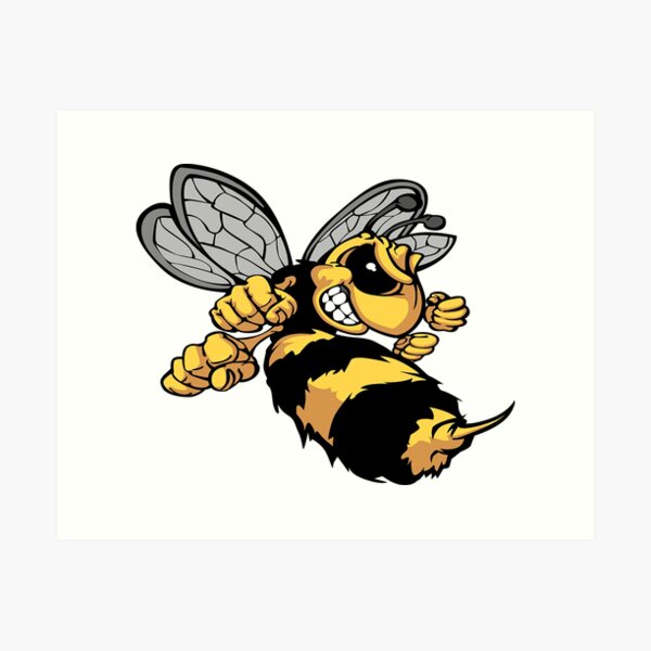 Killer Bees PNG - Killer Bees Logo, Killer Bees Map, Killer Bees