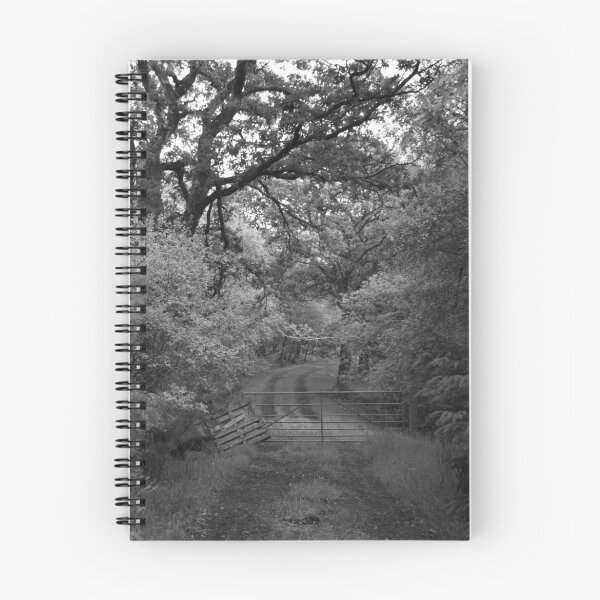Item preview, Dirt track designed and sold by littlebiggphoto.