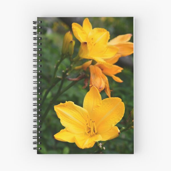 Item preview, Yellow bloom at Dunedin Botanical Garden designed and sold by Solar Flare Creations.
