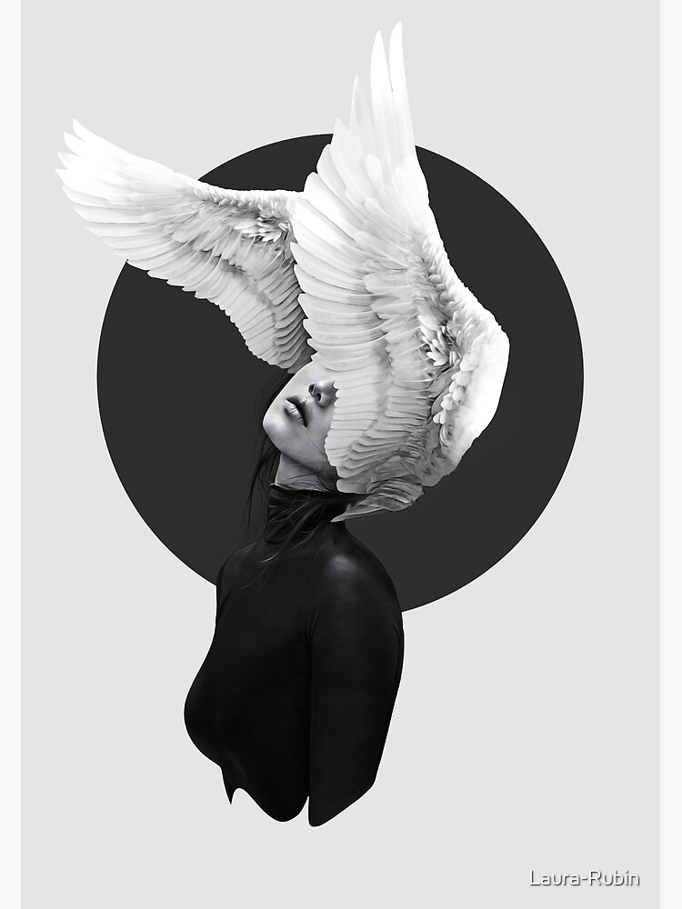 The Swan by Laura-Rubin