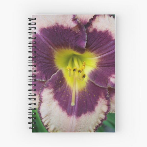 Item preview, A little more purple designed and sold by Nella Khanis.