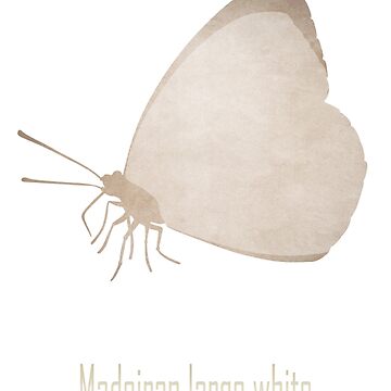 Artwork thumbnail, Madeiran large white - Endangered and extinct species (dark background) by Moira Risen