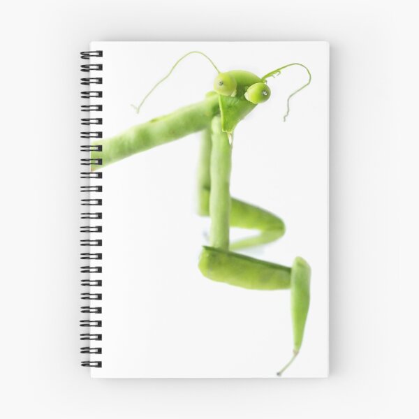 Aperçu de l'œuvre Mantis de pois créée et vendue par Vanessa Dualib.