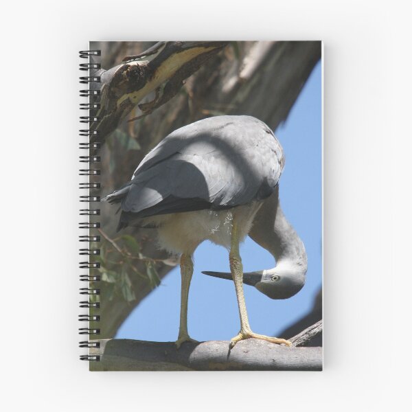 Item preview, aNothEr  peRspEctiVe! designed and sold by Phillip Weyers.