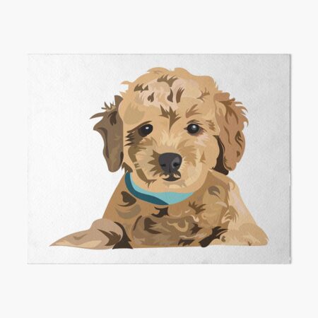 mini goldendoodle gifts