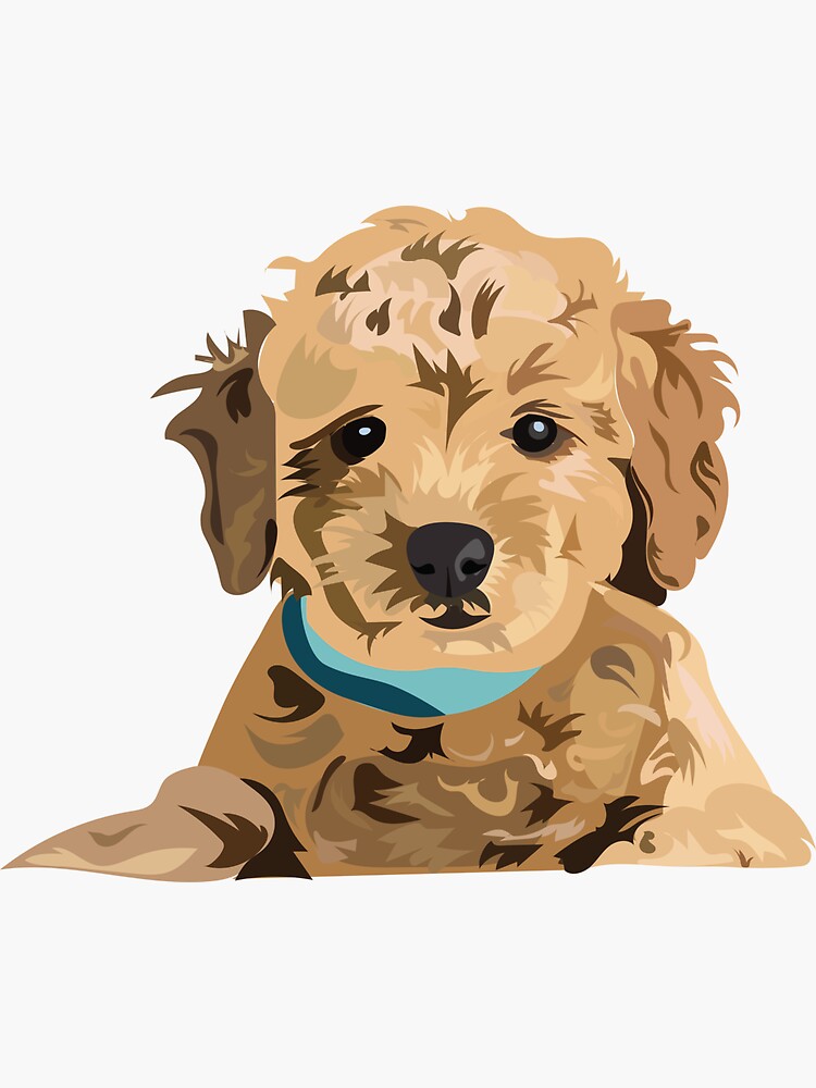 "Golden doodle" Sticker for Sale by cpickoski Redbubble