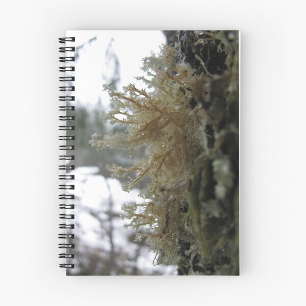 Item preview, Lichen treehugger designed and sold by Wildwoosi.