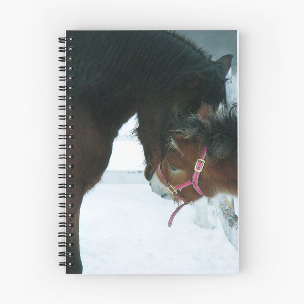 Item preview, 18.1.2011: Friendship designed and sold by Petri Volanen.