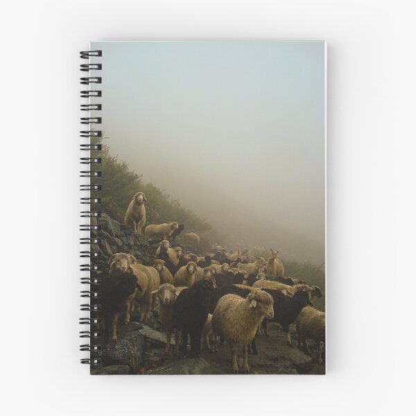 Item preview, SHEEPS designed and sold by manumint.